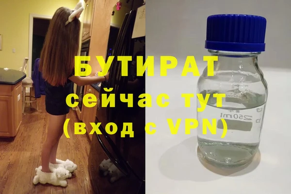 индика Беломорск