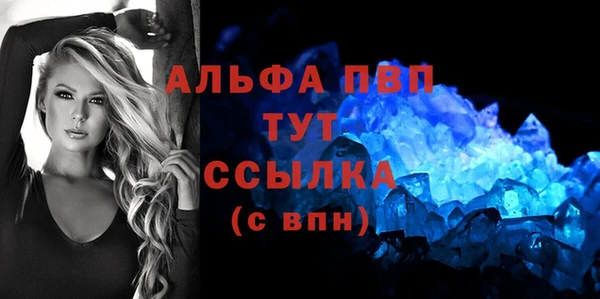 индика Беломорск
