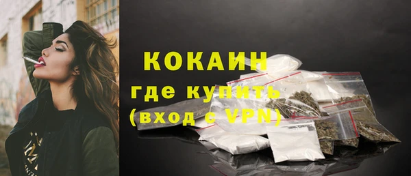 индика Беломорск