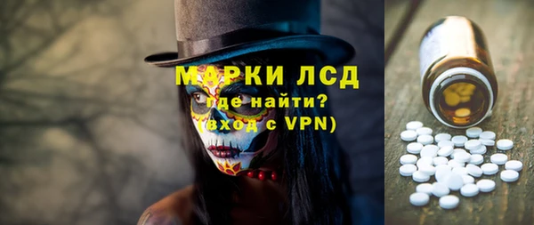 индика Беломорск