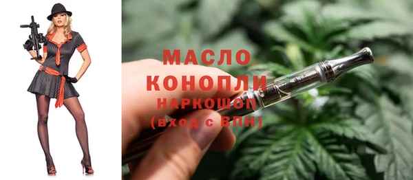 индика Беломорск