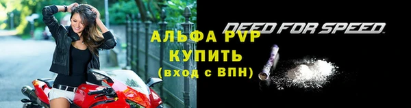 индика Беломорск