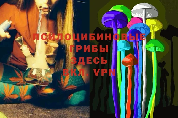 мескалин Белокуриха