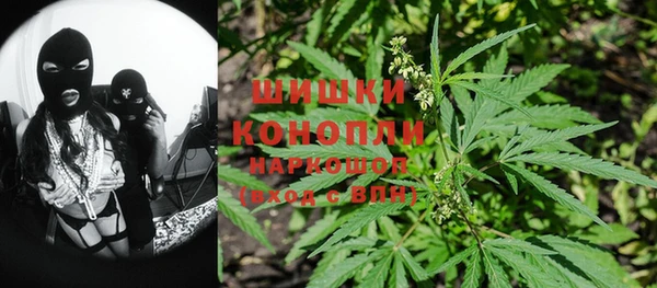 индика Беломорск
