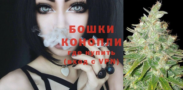индика Беломорск