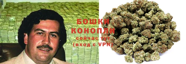 индика Беломорск