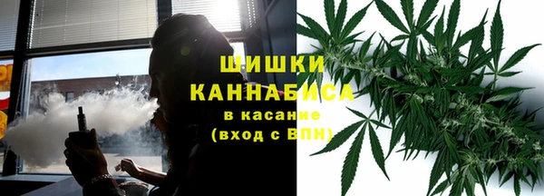 стаф Белоозёрский